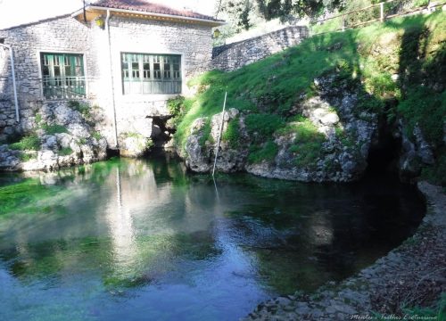 DSCF0437