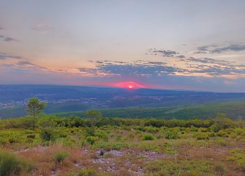 IMG_20260705_061640