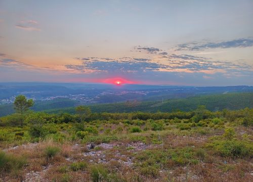 IMG_20260705_061729