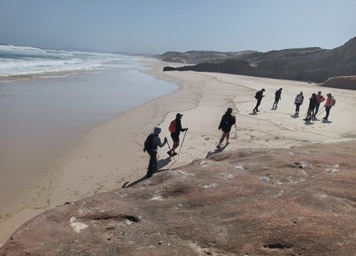 baleal_4