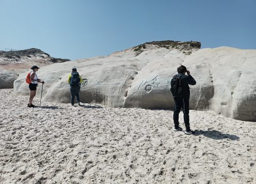 baleal_5
