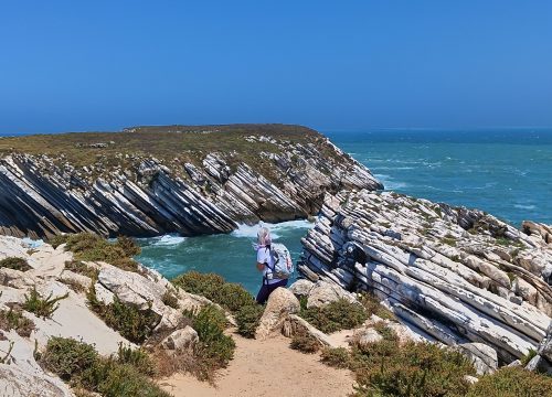 baleal_6