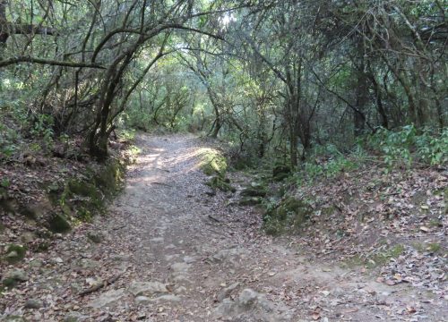 caminhada_natalicia1