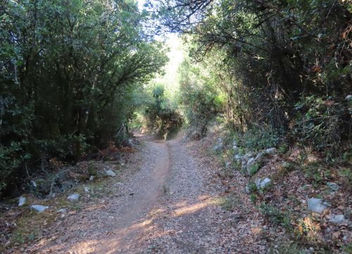 caminhada_natalicia3