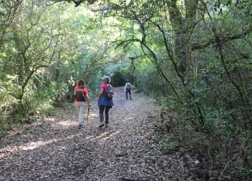 caminhada_natalicia4