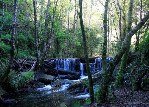 cascata_3