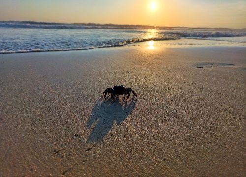 sunset_5_9_3